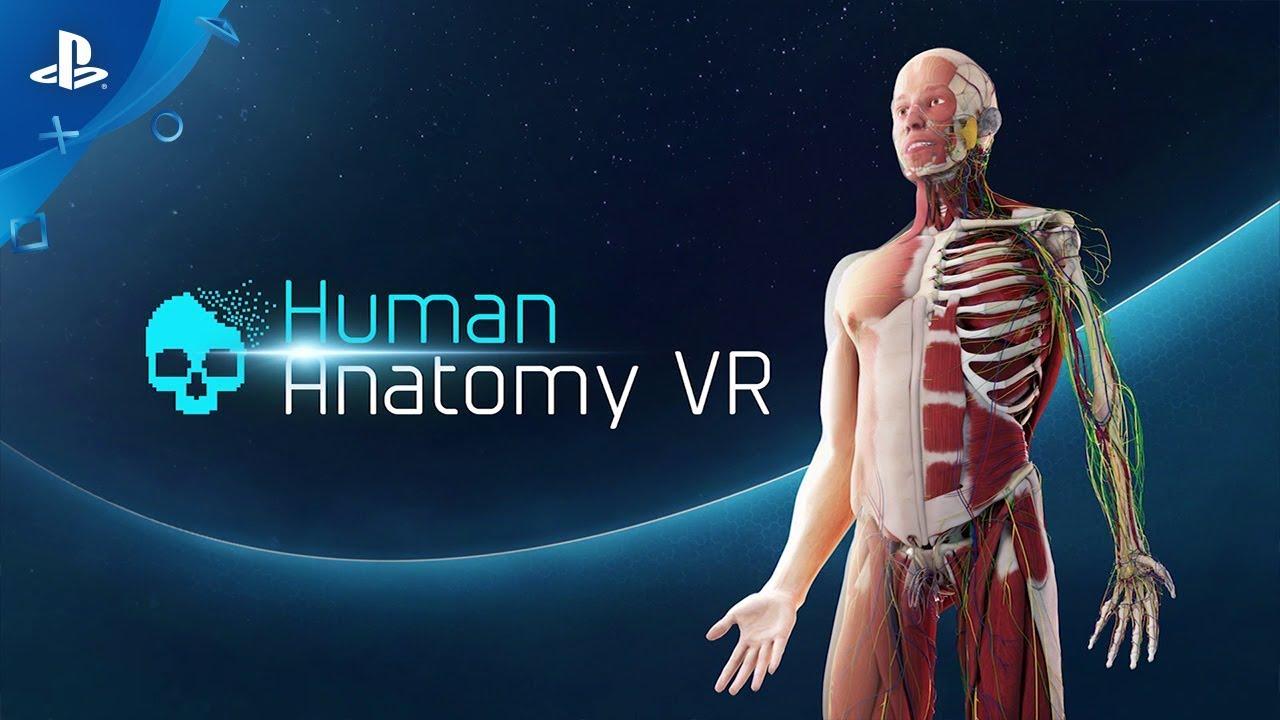 Учебное VR-приложение «Анатомия человека» вышло на PSVR 2